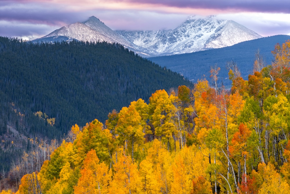 Fall foliage in Vail, CO